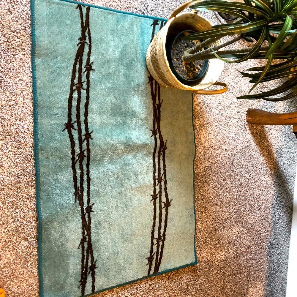 3x2 Turquoise and Brown Rug with Barbed Wire Pattern
